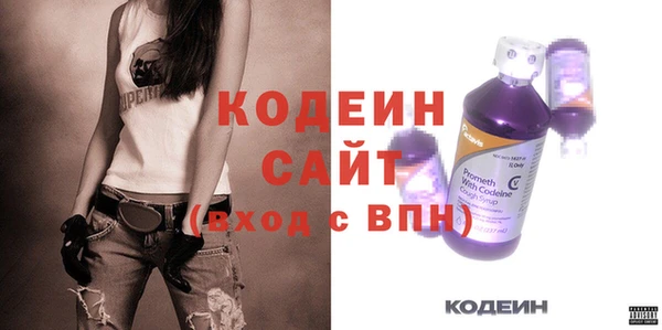 сатива Покачи