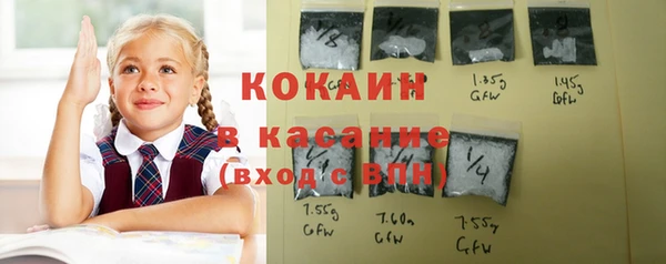 сатива Покачи