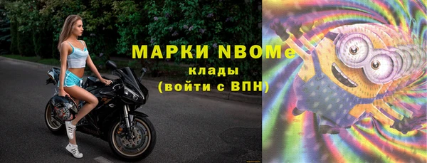 сатива Покачи