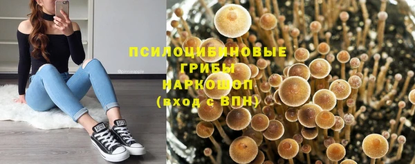 jwh Протвино