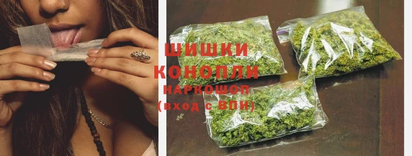 сатива Покачи