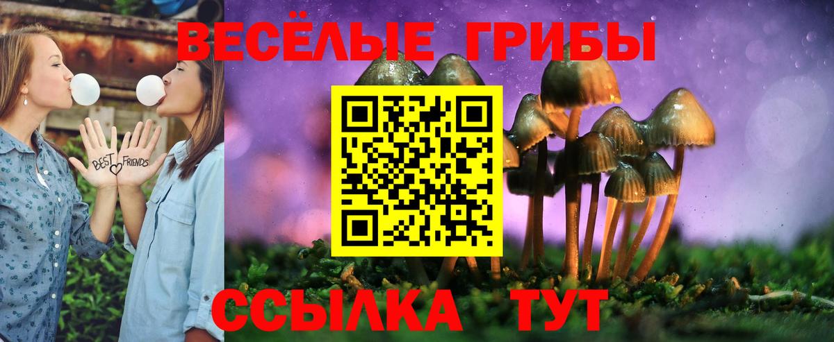 Псилоцибиновые грибы ЛСД Люберцы